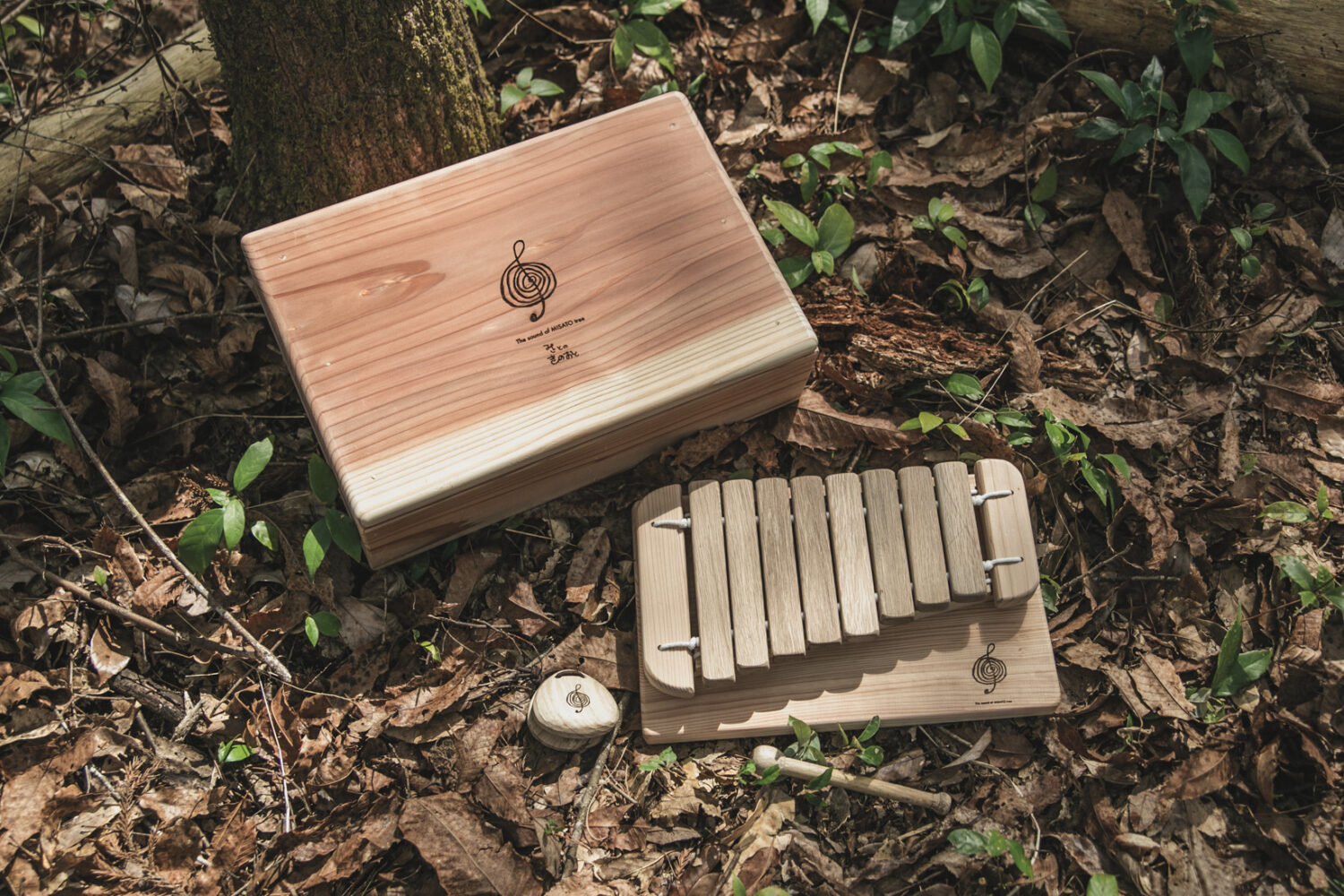 森で落ち葉の上に並べられた木箱と小さな木琴とカスタネット